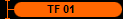 TF 01